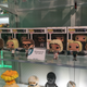 Image for article titled The Very Best Toys From New York Toy Fair 2015